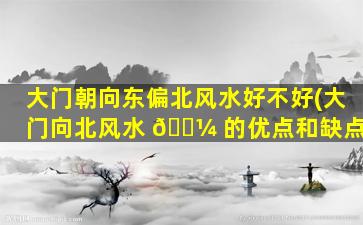 大门朝向东偏北风水好不好(大门向北风水 🐼 的优点和缺点)
